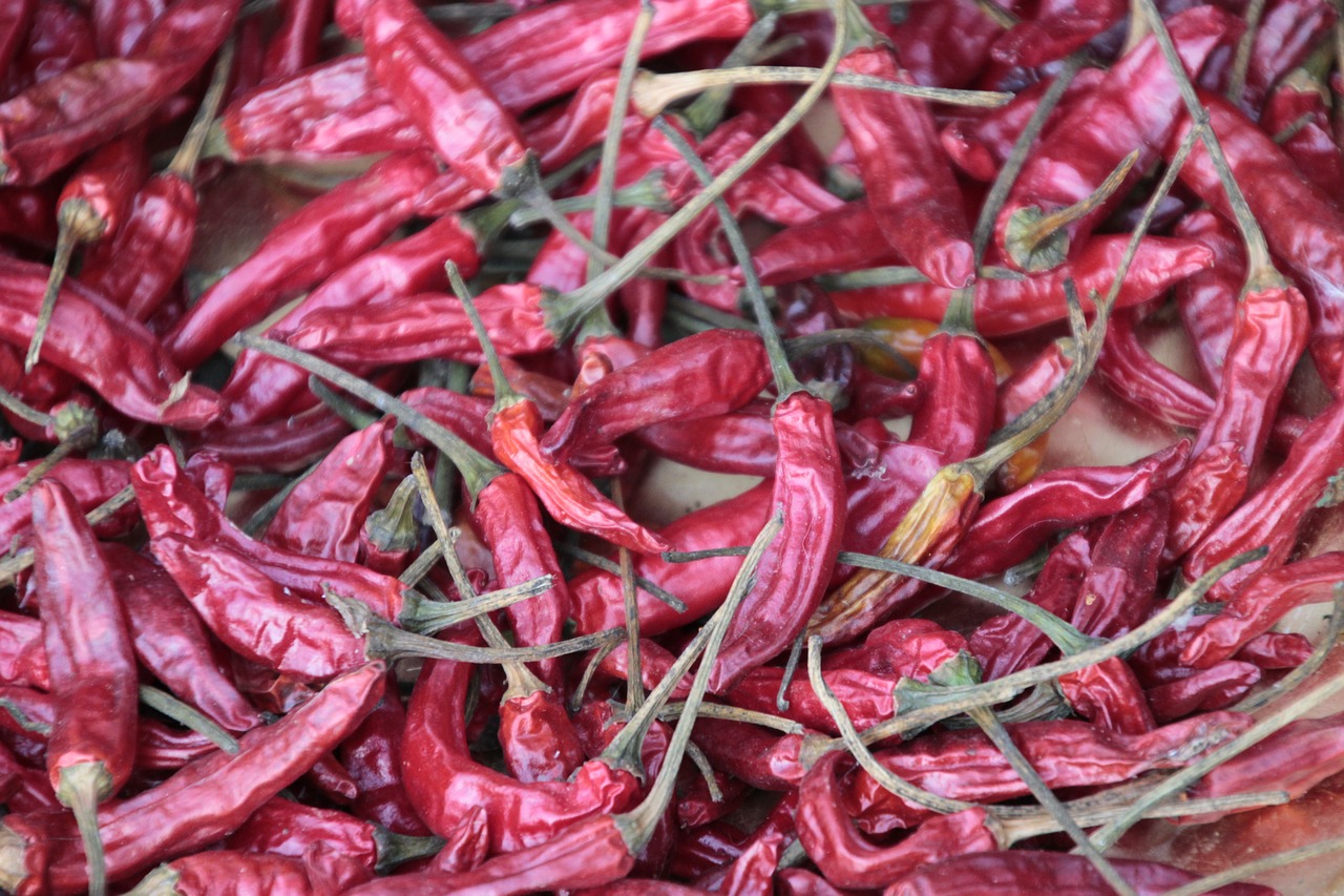 papryka chilli