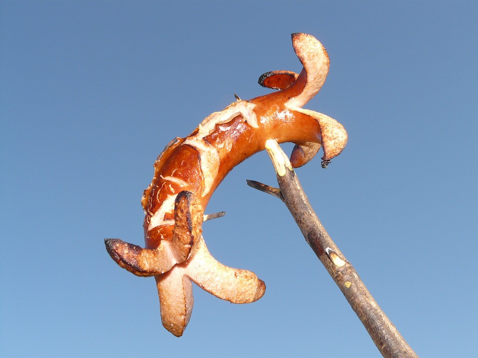 kiełbasa śląska