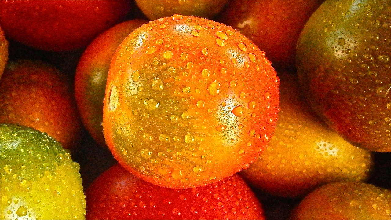 zielone pomidory