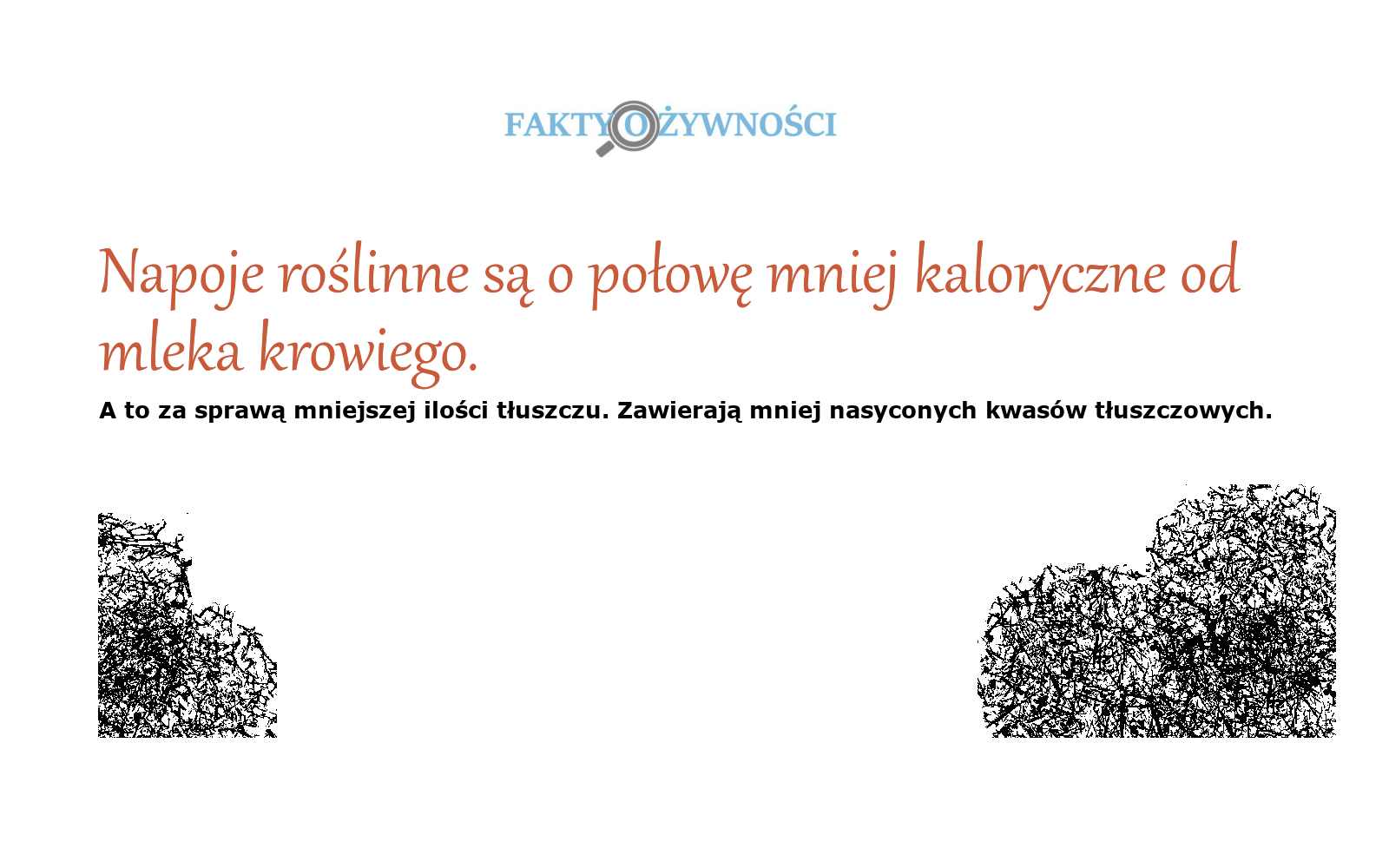 napoje roślinne