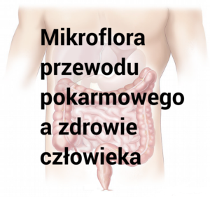 mikroflora