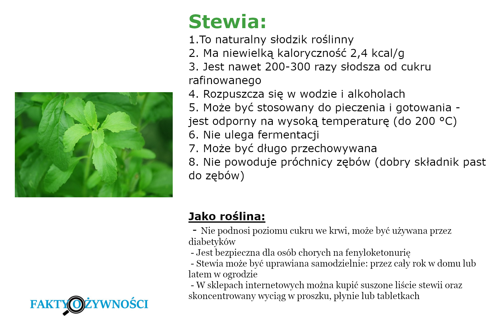 stewia