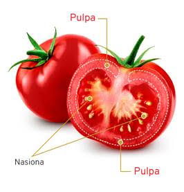 pulpa pomidorowa