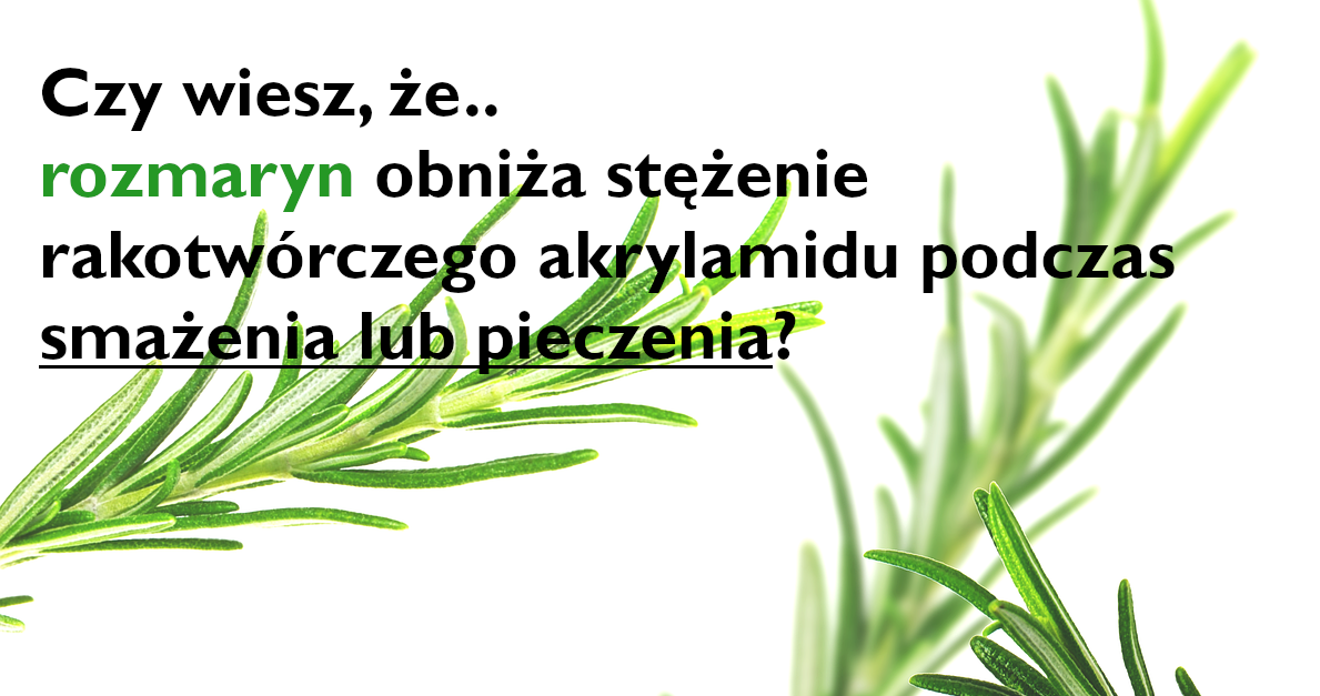 rozmaryn