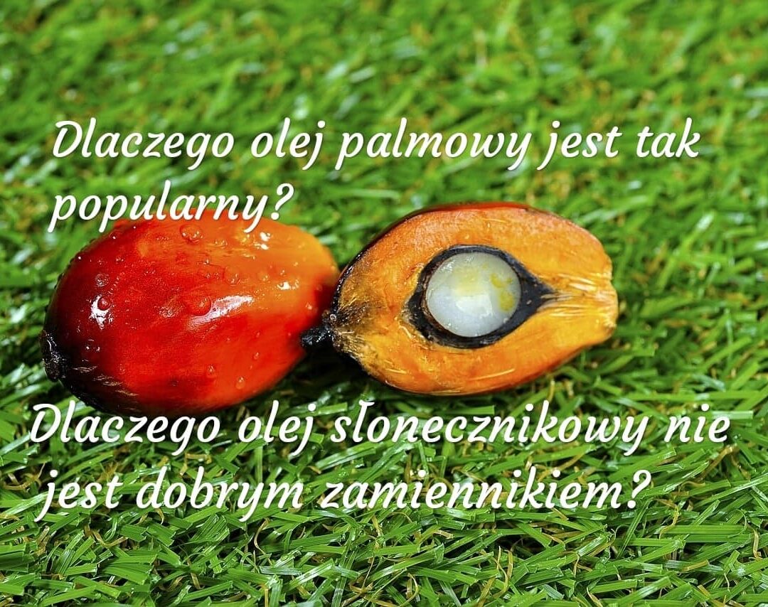 KIEDY MOGĘ KUPOWAĆ PRODUKTY Z OLEJEM PALMOWYM? KIEDY MOGĘ KUPOWAĆ PRODUKTY Z OLEJEM PALMOWYM?