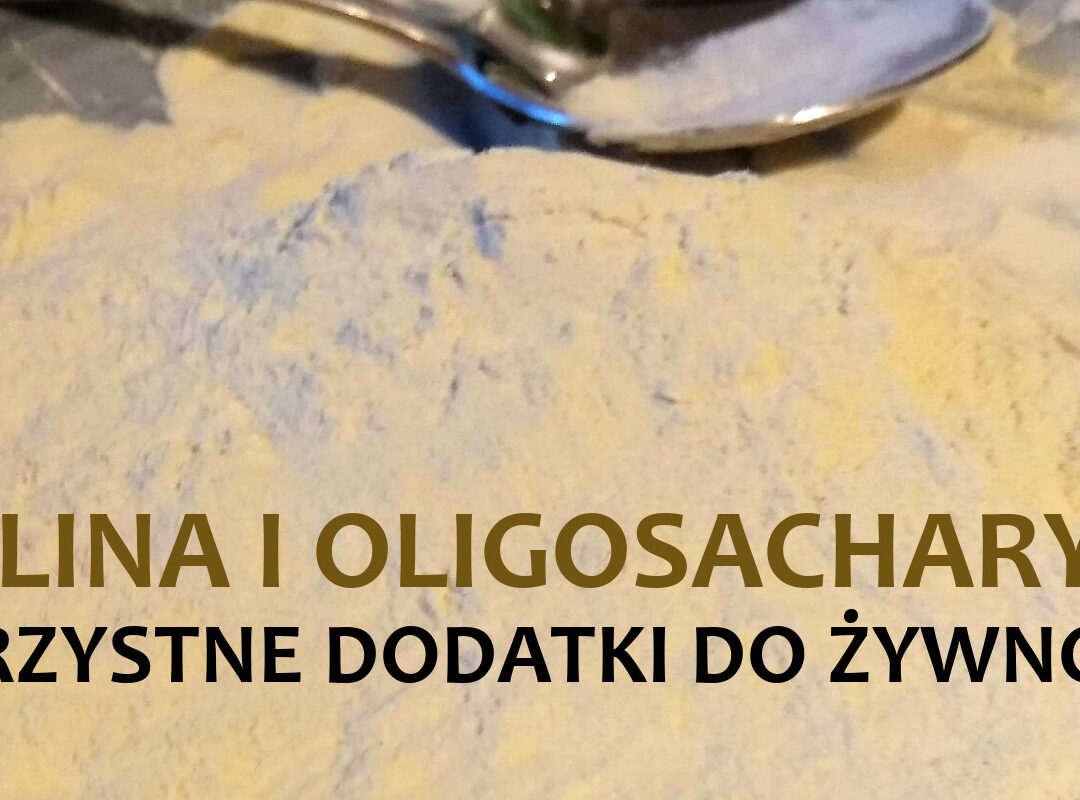 INULINA I OLIGOSACHARYDY – KORZYSTNE DODATKI DO ŻYWNOŚCI INULINA I OLIGOSACHARYDY – KORZYSTNE DODATKI DO ŻYWNOŚCI