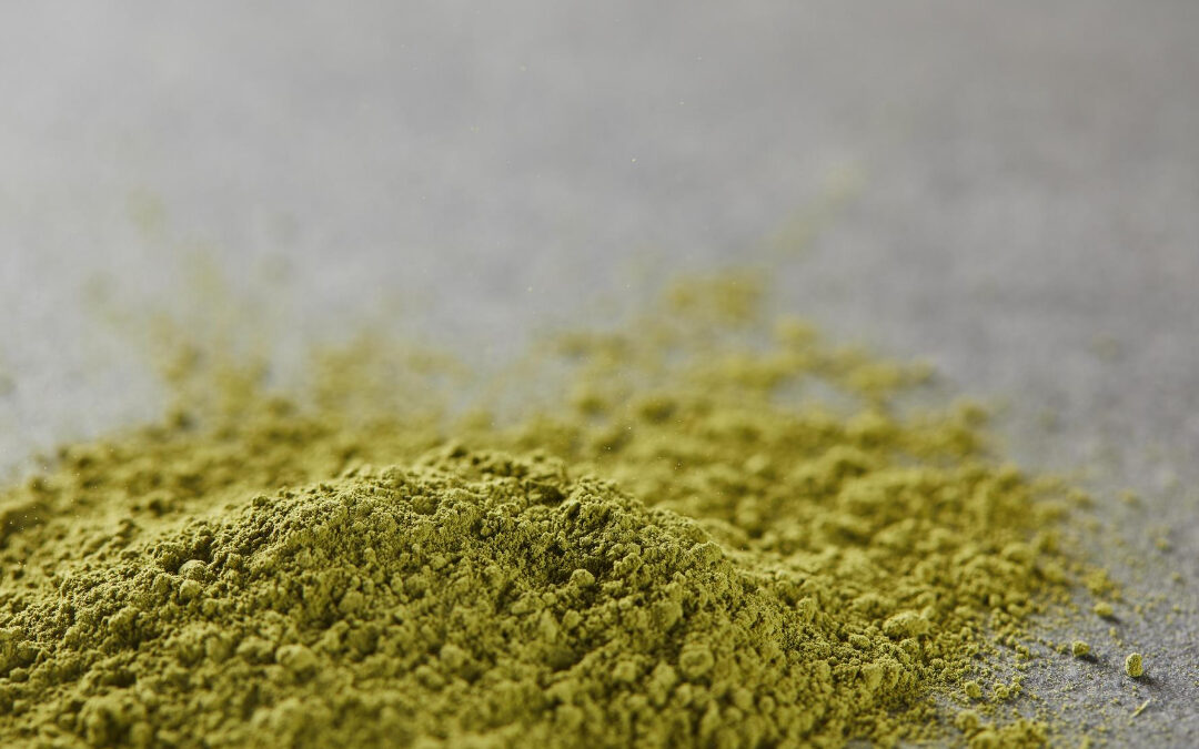 Matcha – właściwości, działanie i co mówi nauka? Matcha – właściwości, działanie i co mówi nauka?