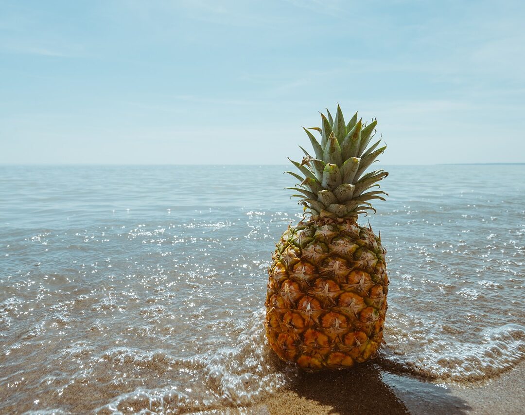 ANANAS – WARTOŚĆ ODŻYWCZA, BROMELAINA, ZDROWIE ANANAS – WARTOŚĆ ODŻYWCZA, BROMELAINA, ZDROWIE