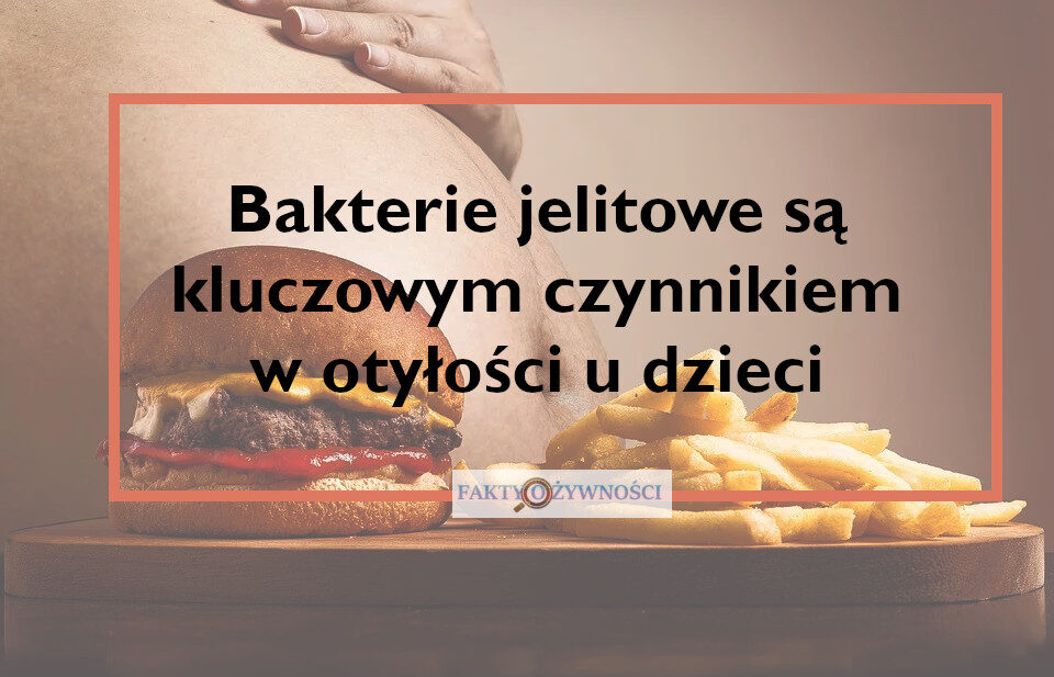 BAKTERIE JELITOWE SĄ KLUCZOWYM CZYNNIKIEM OTYŁOŚCI U DZIECI BAKTERIE JELITOWE SĄ KLUCZOWYM CZYNNIKIEM OTYŁOŚCI U DZIECI