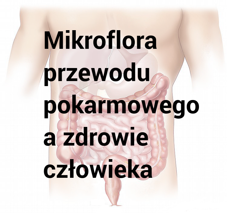 STRESZCZENIE: MIKROFLORA PRZEWODU POKARMOWEGO A ZDROWIE CZŁOWIEKA STRESZCZENIE: MIKROFLORA PRZEWODU POKARMOWEGO A ZDROWIE CZŁOWIEKA